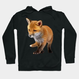 Baby Fox Hoodie